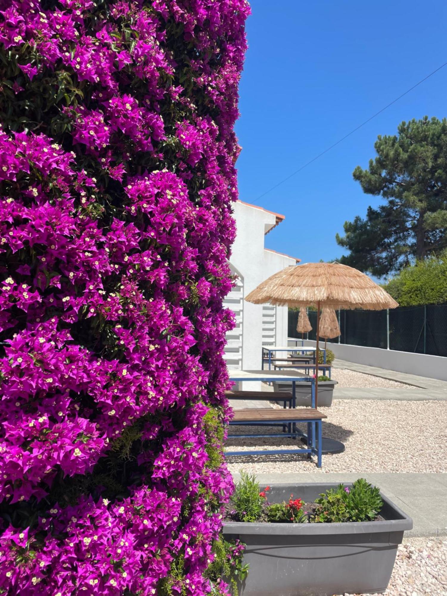 California Dream Inn Aljezur Exteriér fotografie